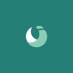 Savvy Nomad Instagram logo