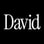 David Protein logo