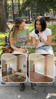 Home Savvy creator