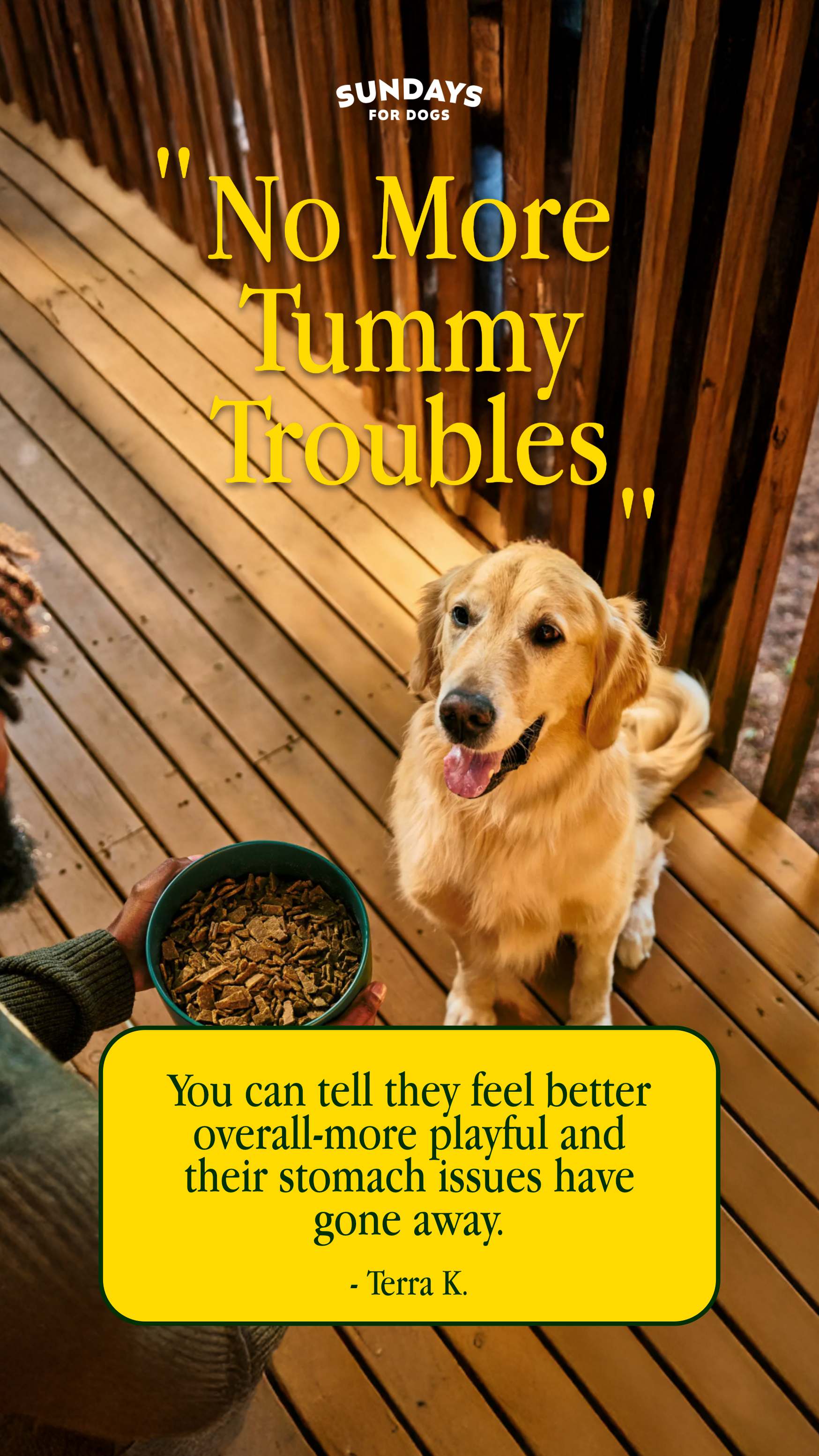 sundaysfordogs sponsored content