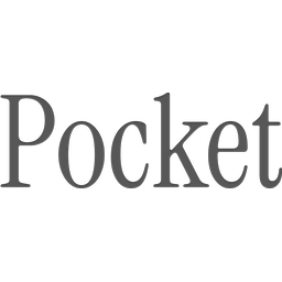 Pocket AI logo